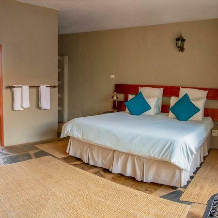 By Bush Telegraph Lodge Johannesburg Zewnętrze zdjęcie