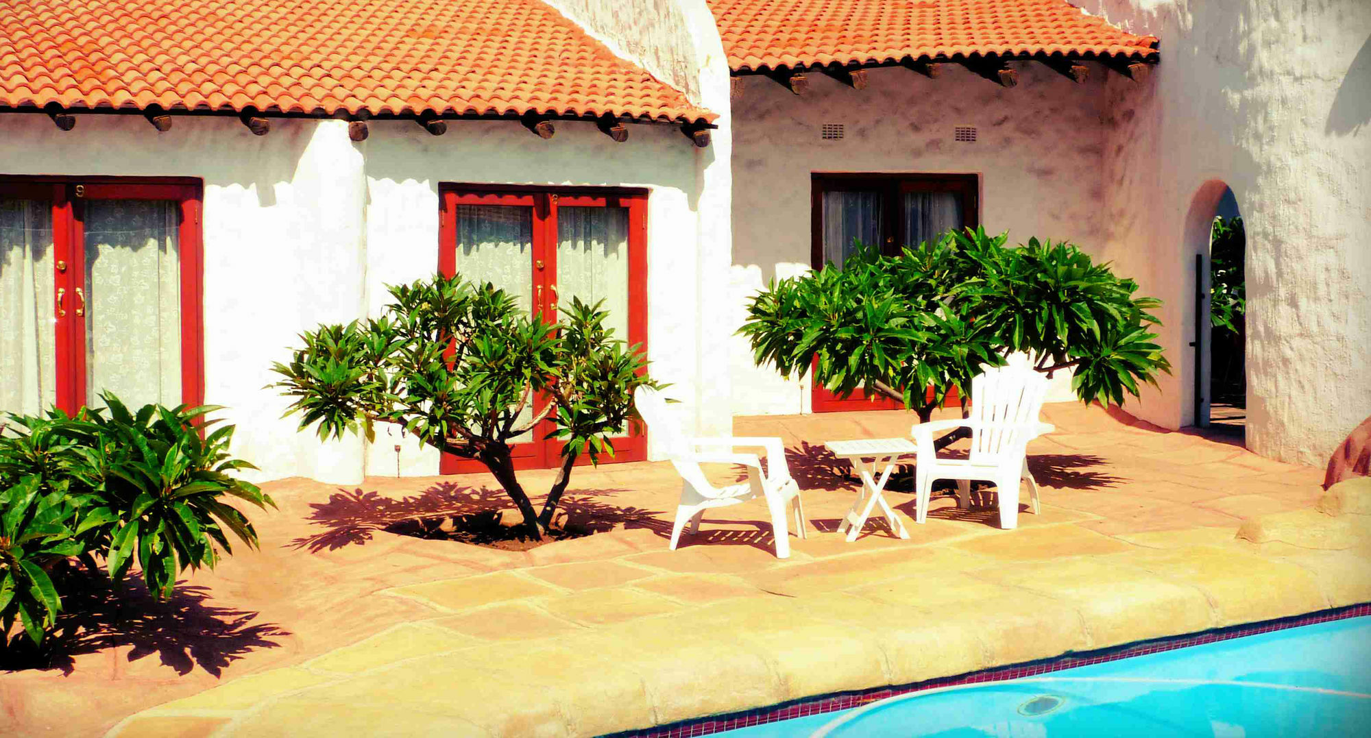 By Bush Telegraph Lodge Johannesburg Zewnętrze zdjęcie